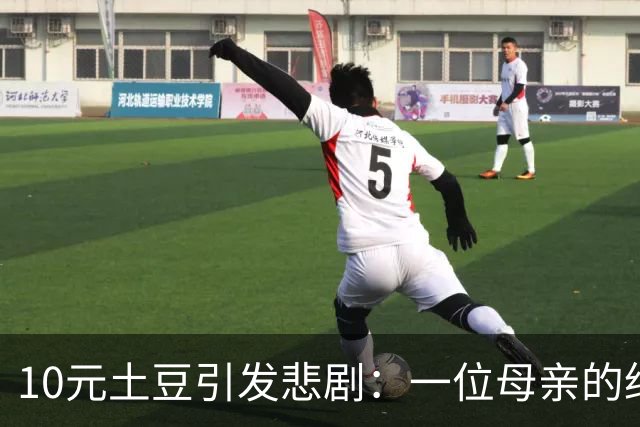 10元土豆引发悲剧：一位母亲的绝望与网络暴力的代价